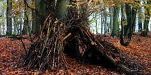 Types of Survival Shelters & How To Build Them