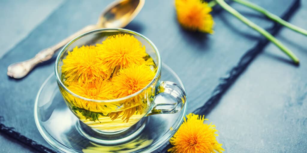 Dandelion-tea