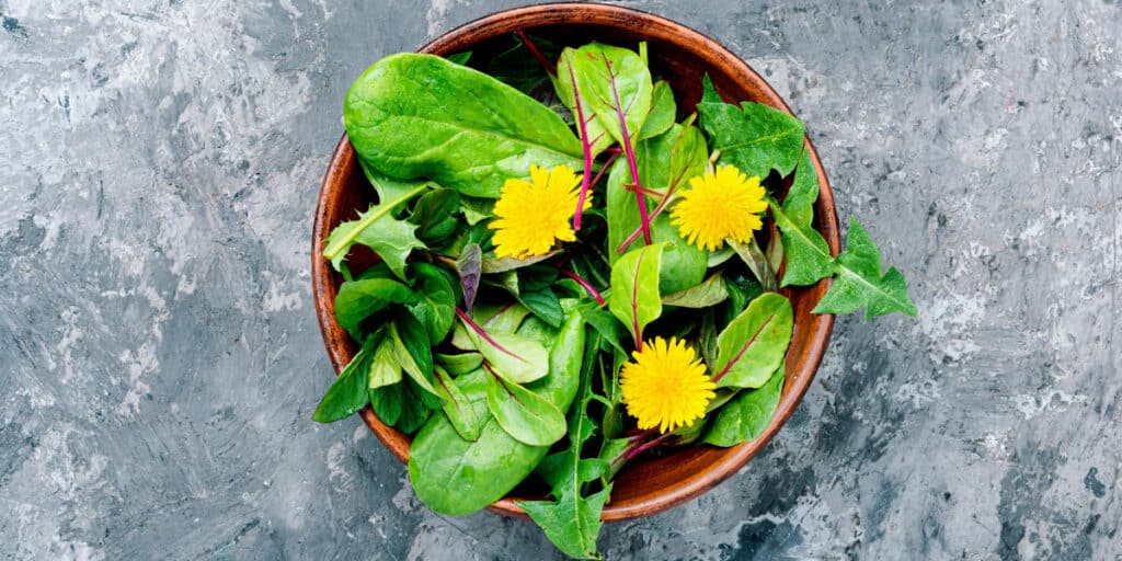 How to Eat Dandelions